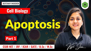 Apoptosis (Part-1)- Introduction| Steps | Necrosis | Paraptosis | Autoschizis| CSIR NET JRF||