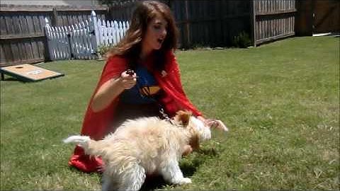 FOA: Language and Mass Communication