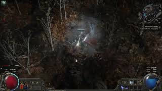 Completing endgame map (Willow) in PoE2