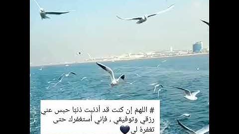 جديد تلاوة عبدالرحمن مسعد  ‏| راااحة تثلج نبض قلبك  ‏| قرآن هدووء