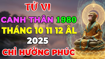 Tử Vi Tháng 10,11,12 Âm, Tuổi Canh Thân 1980 Cát Lành Lan Tỏa, Vận Hội Mở Ra.