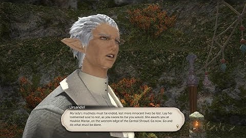 Final Fantasy XIV: A Let