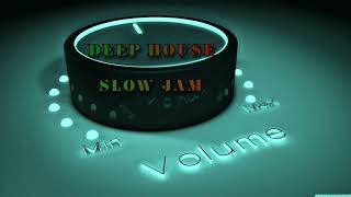 Deep House Slow Jam mooseflythe Space Between