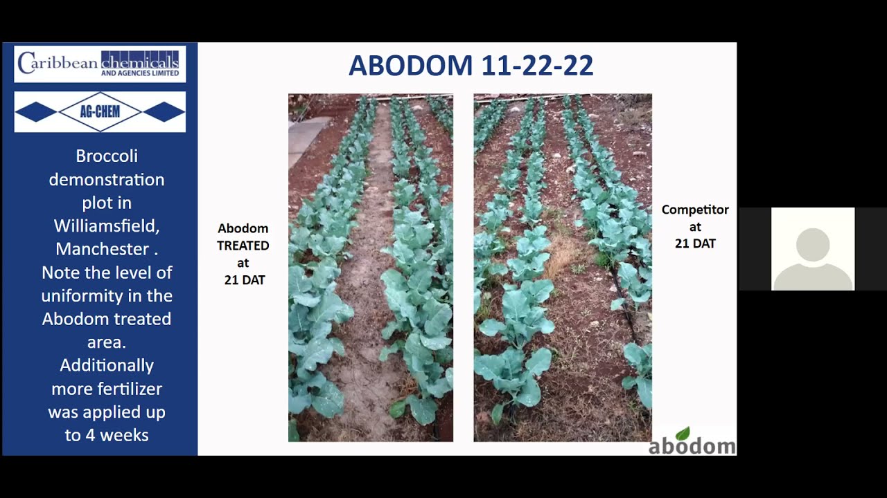 Abodom Granular Fertilizer