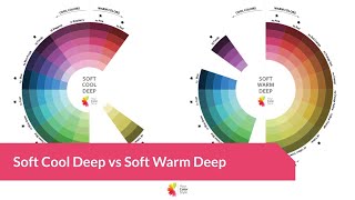 Soft Cool Deep vs Soft Warm Deep screenshot 2