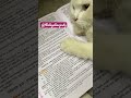 I Love order 21 cpc visit www.thelegalmajesty.com #shorts #judiciary #mpcj #viralvideo #cat