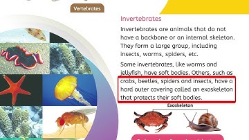 Science Class 4 – Chapter 2: Animal Structure and Function | Pages 15–20 | Explained with Examples