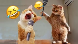 Best Funny Dogs and Cats Videos 🤑 Funniest Animal videos 2024