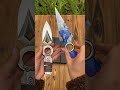 Which one do you like?#valorant #reaverkarambit #champion2025 #vct #jett #rgx11zpro #kuronami