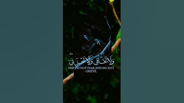 قرآن كريم تلاوة هادئة ارح سمعك #قرآن #أحسن_تلاوت_القرأن_الكريم #quran #المصحف #اكسبلور #yasseraldo