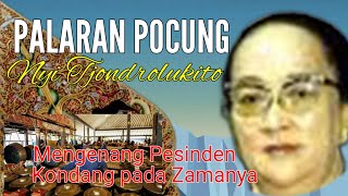 Palaran Pocung || Nyi Tjondrolukito