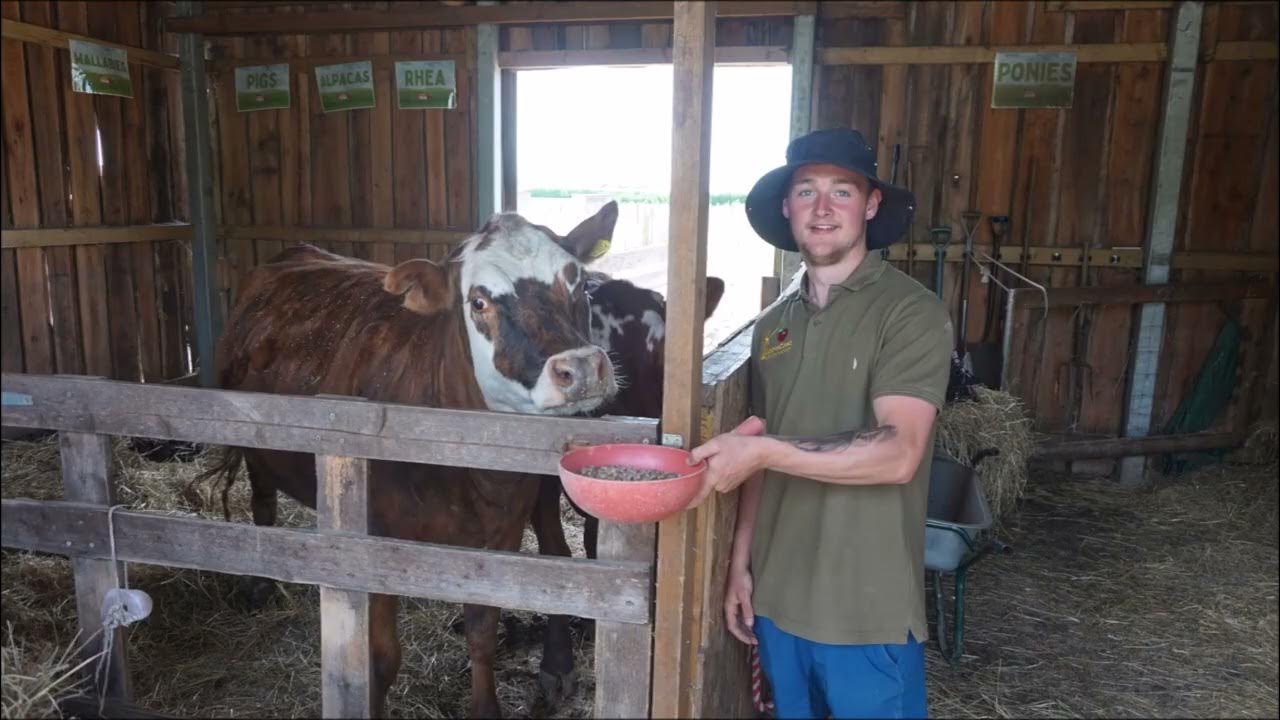 Newburgh Lancashire and Apple Cast Farm Slideshow 2023 YouTube