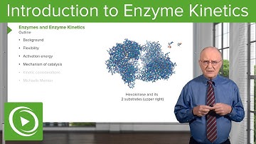 Introduction to Enzyme Kinetics – Biochemistry | Lecturio