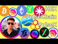 Surviving the bear w frank molina hex bitcoin ethereum pulsechain pulsex