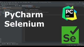 PyCharm Selenium: Test Webdriver Opens Browser