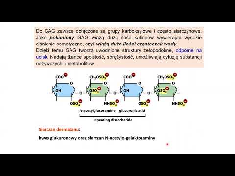 Z czego składa się tkanka łączna i macierz zewnątrzkomórkowa ?