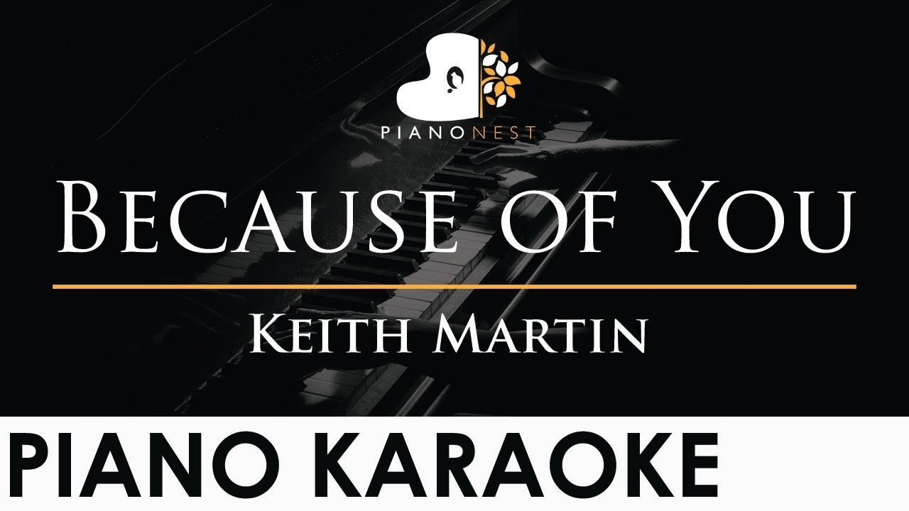 Keith Martin - Because of You - Piano Karaoke Instrumental Cover with Lyrics