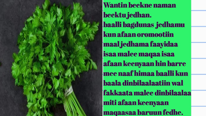 Uzoq jinsiy aloqa shou Toy orgiya porno