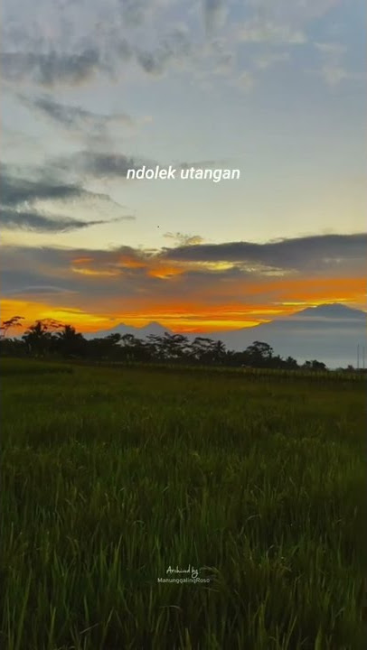 story wa 30 detik - story wa terbaru - story wa Jawa - quotes Jawa lucu - story wa ambyar