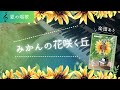 【楽譜】みかんの花咲く丘