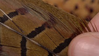 Magic Tying Materials - Pheasant Tail screenshot 4