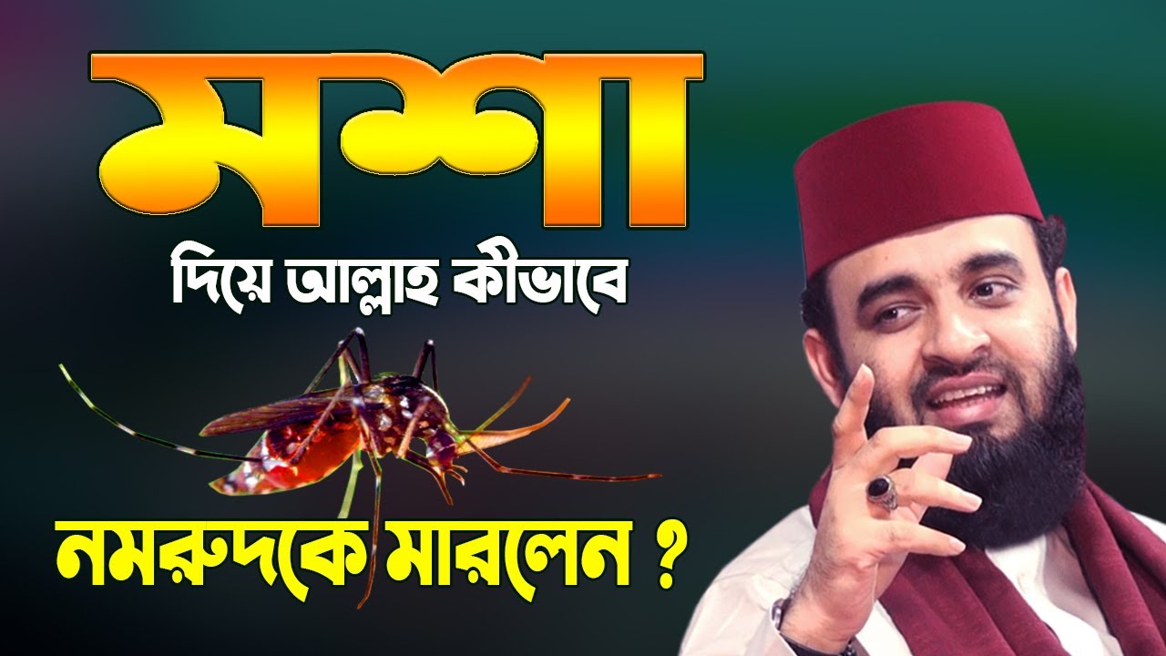 Koreya kino AV porno Turk erotikasi: yangi fotosuratlar