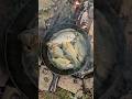Catch And Cook Crappie And Bluegill Catch And Cook Crappie And Bluegill