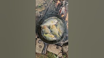 Catch and Cook Crappie and Bluegill