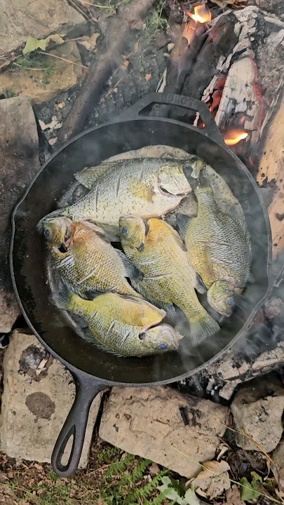 Catch and Cook Crappie and Bluegill