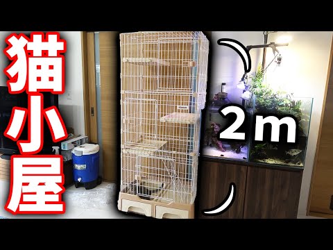 保護猫みーちゃんの為に巨大猫小屋作った！