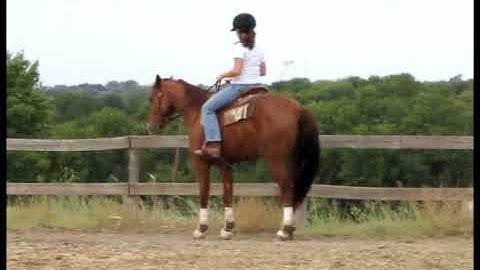 Valley View Ranch - Major Ambition -  *For up-to-date info, price, etc., go to our website*