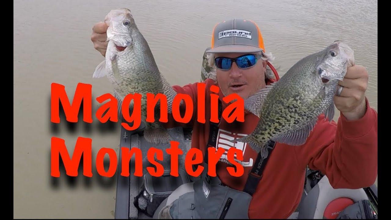 Crappie Masters Lake Washington Day 3 