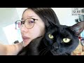 【Cooking】GMMF🌞【kson】(20250710)