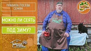 видео Посадка лука на зиму на зелень: время посадки и прочие особенности