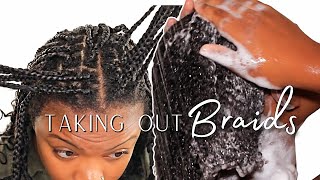 Wash Day Routine On Short Natural Hair After Taking Out Boho Knotless Braids