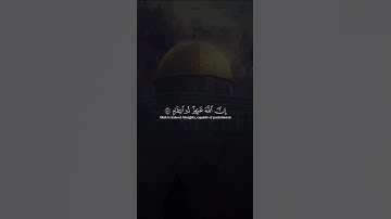 اكتب شيء تؤجر عليه 😴💚 / القارئ عبد الرحمن مسعد | قران كريم
