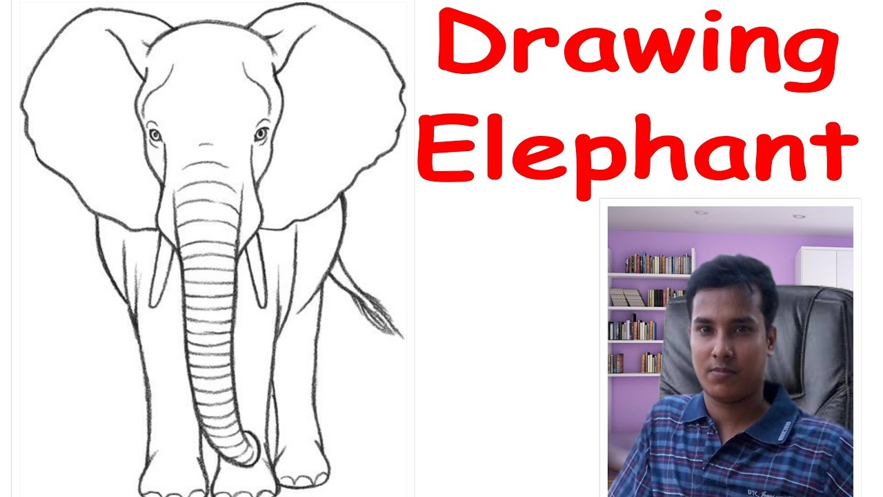 How to draw an Elephant front - YouTube