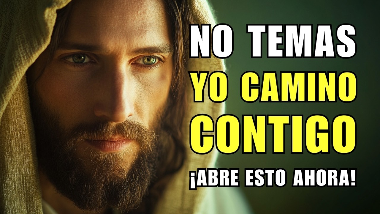 DIOS TE DICE HOY: SI ESTÁS VIENDO ESTO, TU MOMENTO YA LLEGÓ, TÓMAME LA MANO Y CAMINEMOS JUNTOS