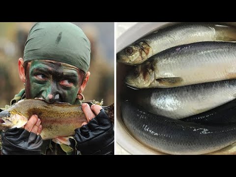 Зачем спецназовцы едят СЕЛЁДКУ до изнеможения, перед операциями?!