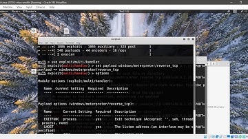 lab4 exploiting client side vuln and establish a vnc session