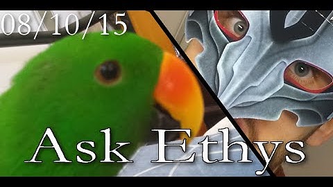 Ask Ethys: Lore Q&A #3