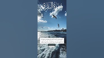 الاية ٢٦٠ من سورة البقرة صفحة ٤٤ من القرآن الكريم 🫀🎧 تلاوة خاشعة مكررة للحفظ
