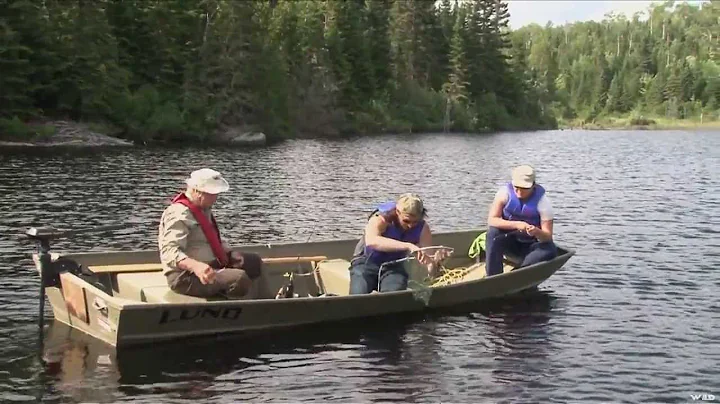 Brook Trout Fishing in Quebec