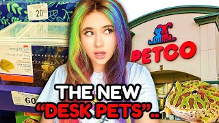 PETCO'S NEW DESK PETS ARE WRONG..