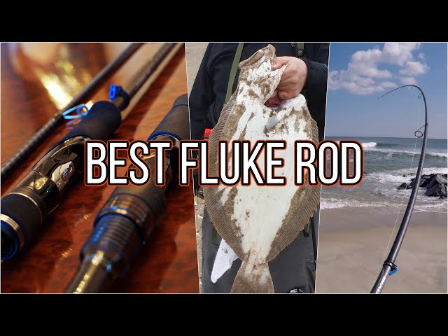 Best Rod for Fluke & Flounder? Shimano Dialuna and Daiwa Labrax
