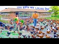 60             prraniganga app  country chicken farming