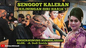 NUNUNG NURMALASARI - SENGGOT KALERAN NAEK ES LILIN ( KILININGAN GIRI HARJA 3 )