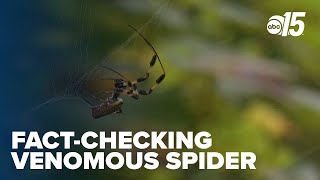 Factchecking truths behind the viral invasive Joro Spider