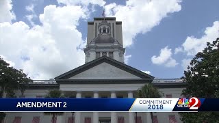 Amendment 2, explained