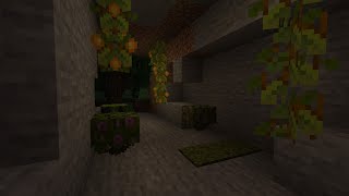 Minecraft Caves and Cliffs Snapshot (21W05A)